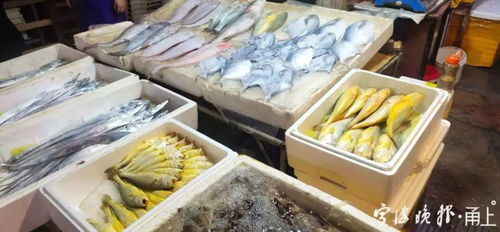 海鮮組合裝價格跳水，消費(fèi)者餐桌迎來“鮮”機(jī)